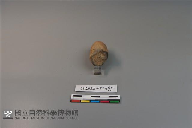 陶鈕藏品圖，第3張
