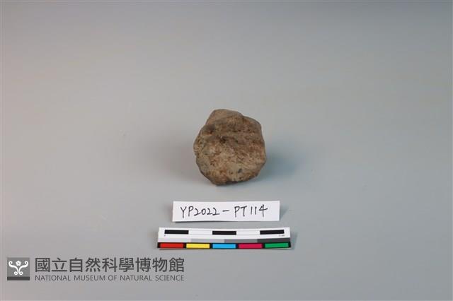 陶鈕藏品圖，第3張