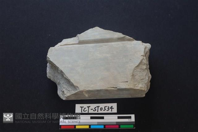 錛鑿形器藏品圖，第3張