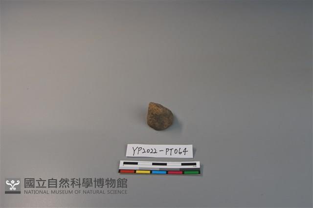 陶鈕藏品圖，第3張