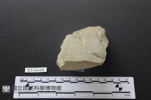 斧鋤形器藏品圖，第3張