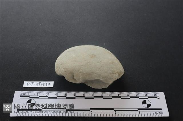 砍砸器藏品圖，第3張