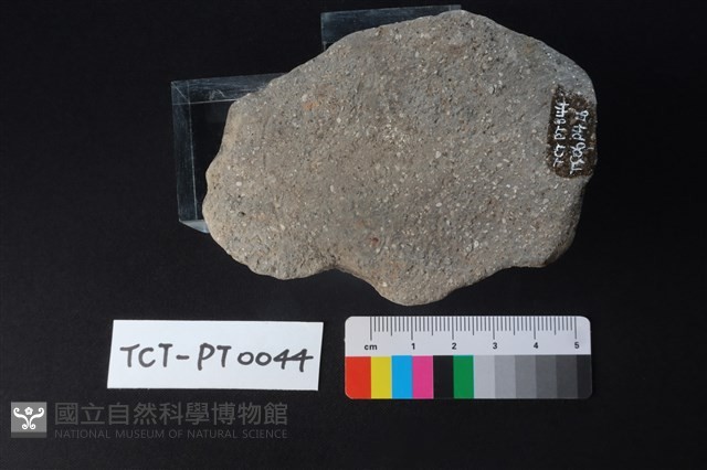 陶蓋鈕藏品圖，第3張