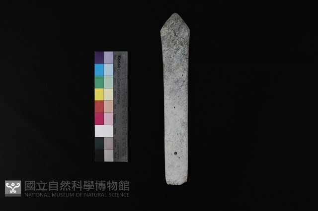矛鏃形器藏品圖，第3張