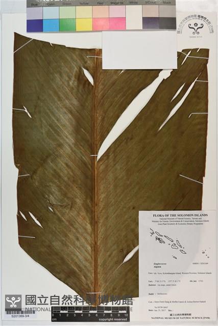 登錄號:S201369藏品圖，第3張