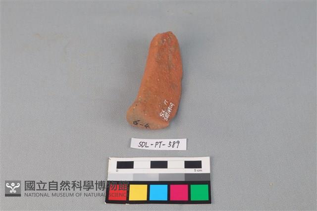 Accession Number:SDL-PT-589 Collection Image, Figure 3, Total 3 Figures