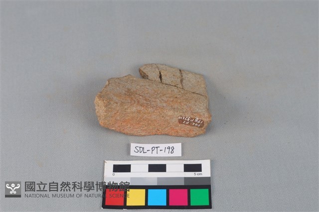 陶罐藏品圖，第3張