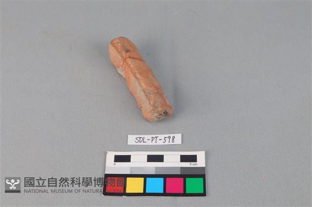 陶網墜藏品圖，第3張