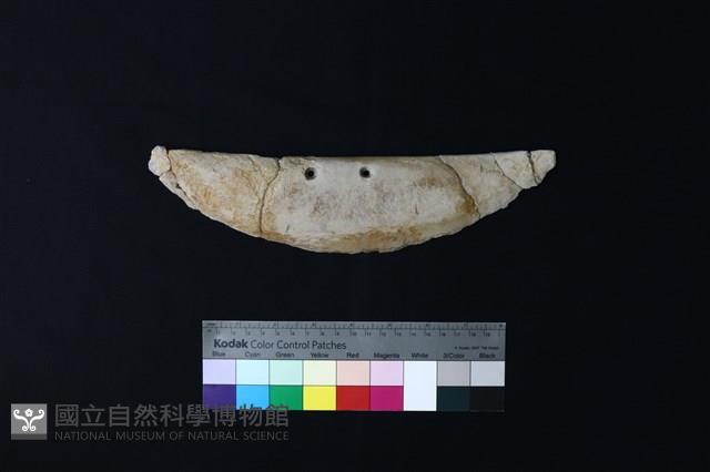 石刀藏品圖，第3張