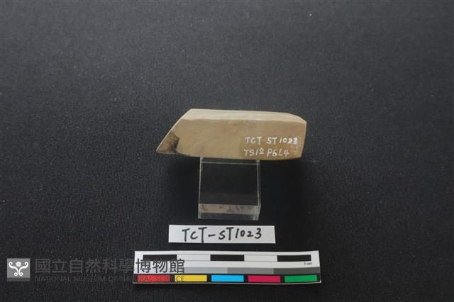 錛鑿形器藏品圖，第3張