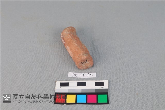 陶網墜藏品圖，第3張