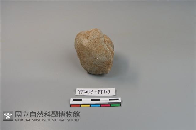 碗/淺盤型陶蓋藏品圖，第3張