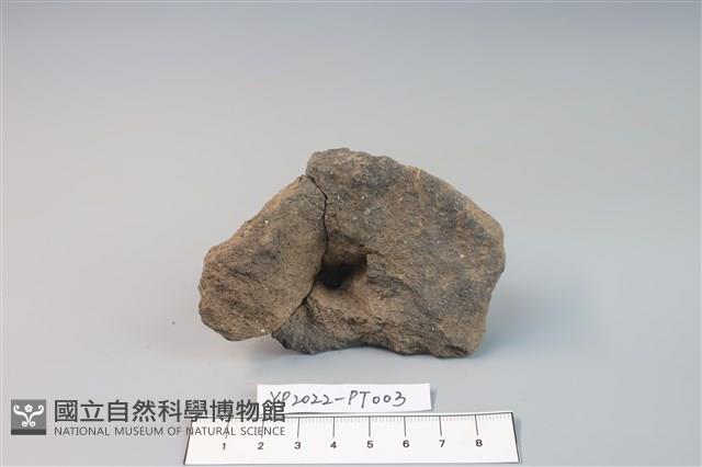 覆碗型陶蓋藏品圖，第3張