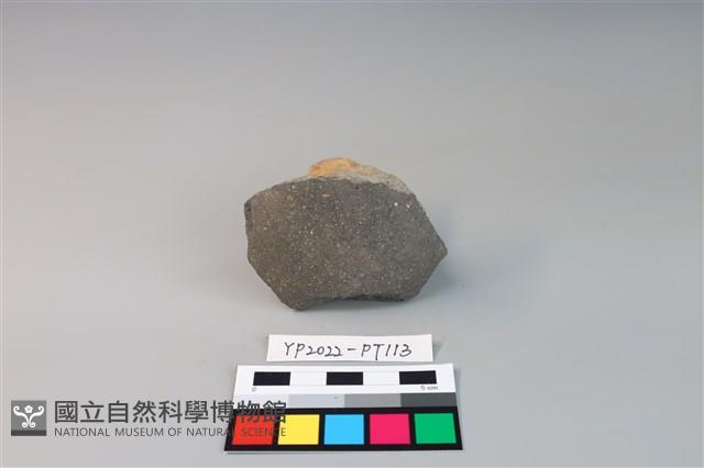 碗/淺盤型陶蓋藏品圖，第3張