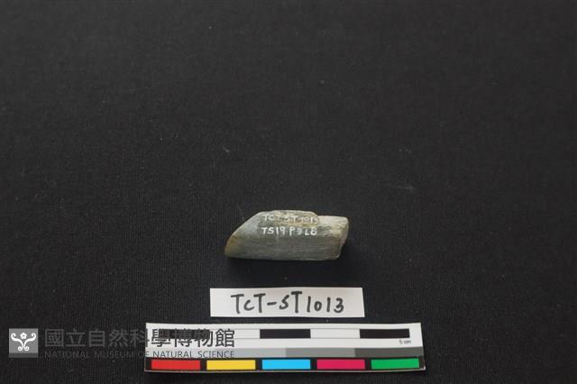 錛鑿形器藏品圖，第3張