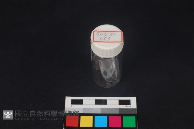 石器藏品圖，第3張
