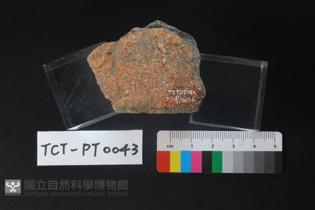 陶蓋鈕藏品圖，第3張