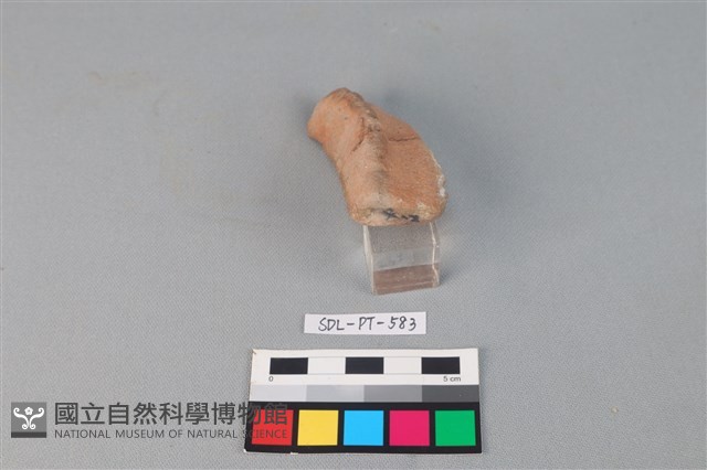 陶網墜藏品圖，第3張
