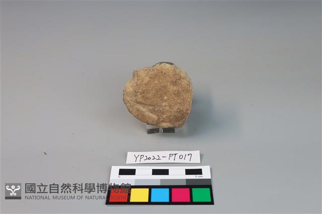 碗/淺盤型陶蓋藏品圖，第3張