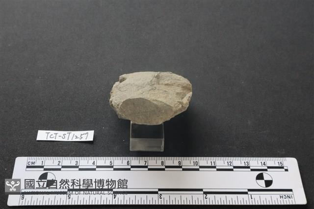 斧鋤形器藏品圖，第3張