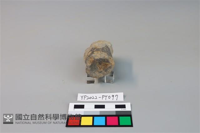 碗/淺盤型陶蓋藏品圖，第3張