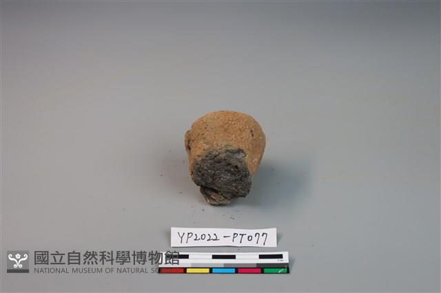 陶鈕藏品圖，第3張