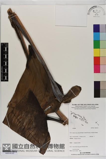 登錄號:S200143藏品圖，第3張