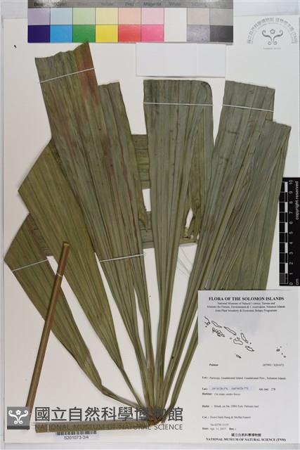 登錄號:S201073藏品圖，第3張