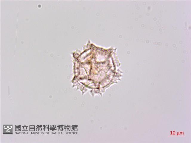 登錄號:S148266藏品圖，第3張