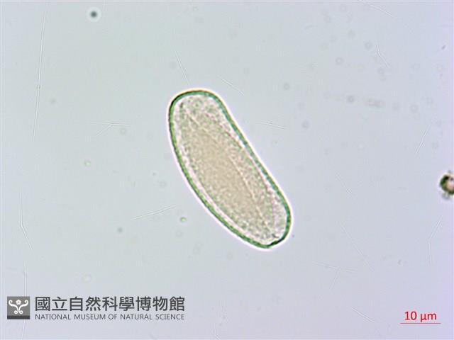 登錄號:S119582藏品圖，第3張