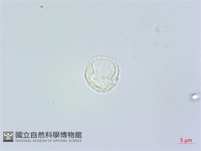 登錄號:S118981藏品圖，第3張