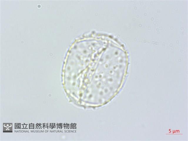 登錄號:S148309藏品圖，第3張