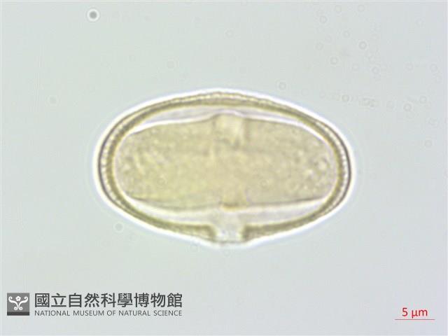 登錄號:S145799藏品圖，第3張