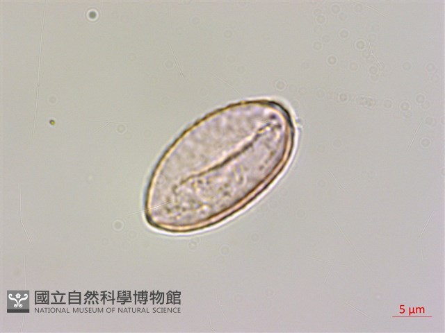 登錄號:S074975藏品圖，第3張