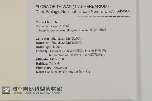 阿里山繁縷藏品圖，第2張