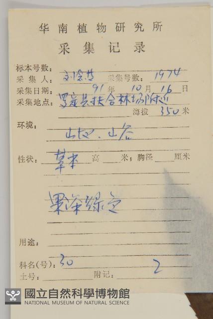 草珊瑚、紅果金粟蘭藏品圖，第2張