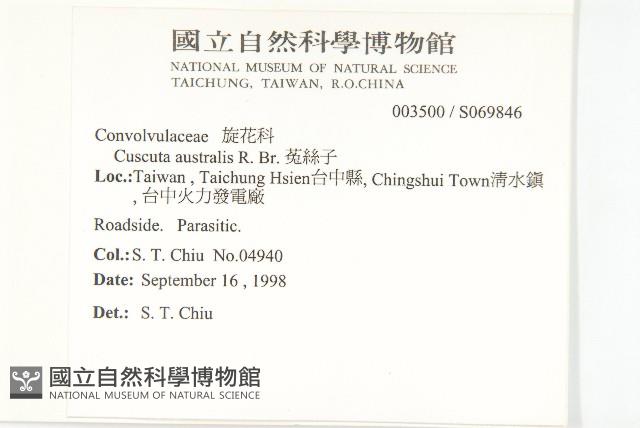 菟絲子藏品圖，第2張