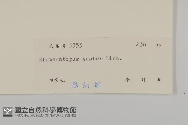 燈豎朽藏品圖，第3張