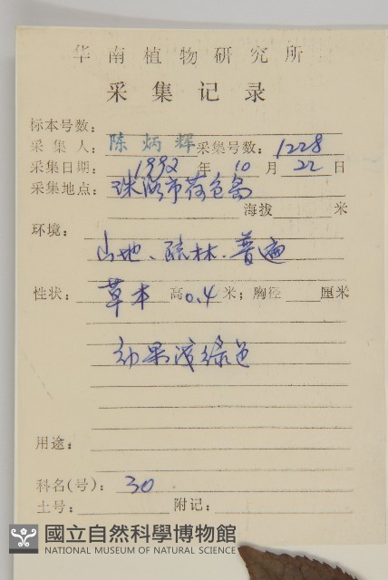 草珊瑚、紅果金粟蘭藏品圖，第2張