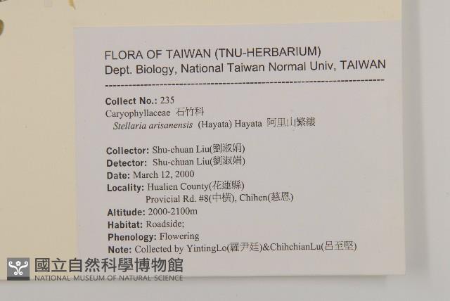 阿里山繁縷藏品圖，第2張