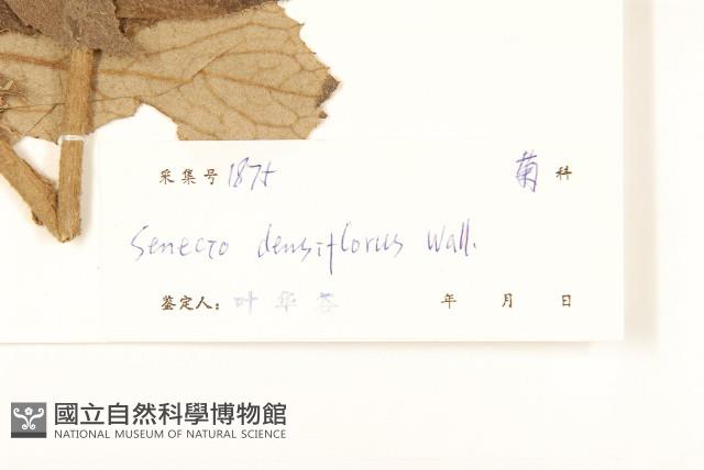 Accession Number:S038686 Collection Image, Figure 3, Total 3 Figures