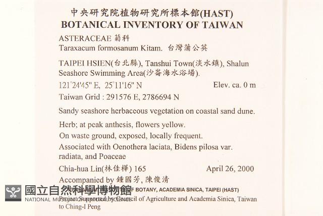 臺灣蒲公英藏品圖，第2張