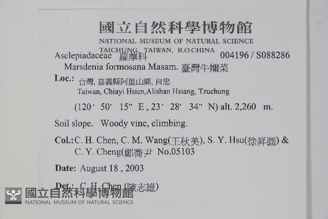 臺灣牛嬭菜藏品圖，第2張