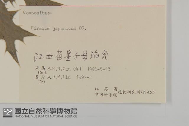 小薊藏品圖，第3張