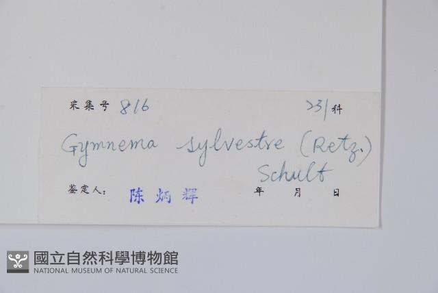 武靴藤藏品圖，第2張