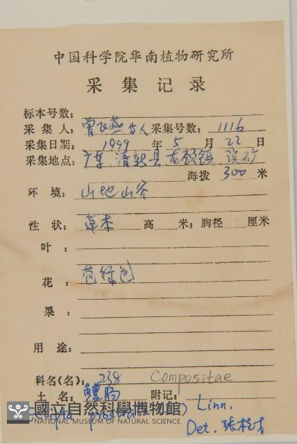 鱧腸藏品圖，第2張