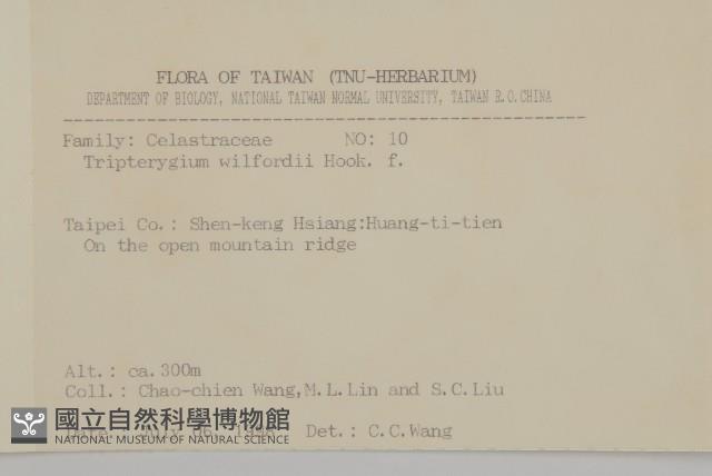 雷公藤藏品圖，第2張