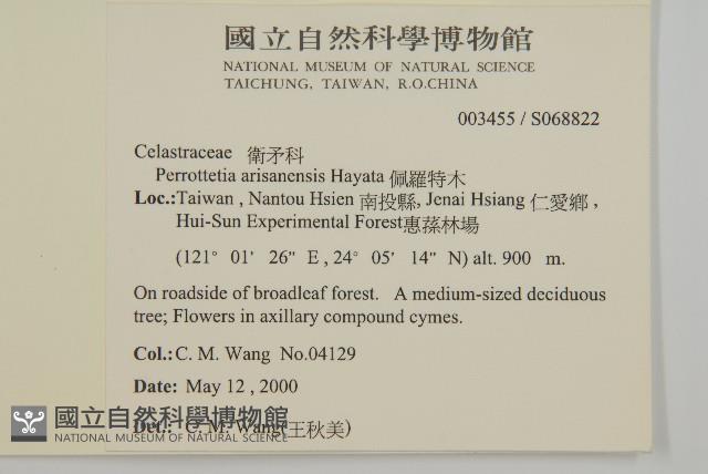 佩羅特木藏品圖，第2張