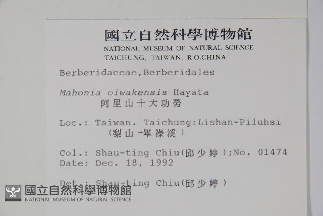 阿里山十大功勞藏品圖，第2張