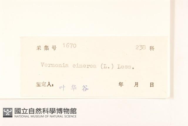 一枝香藏品圖，第3張